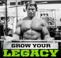 Arnold series iron whey