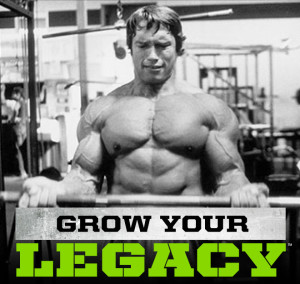 Arnold series iron whey