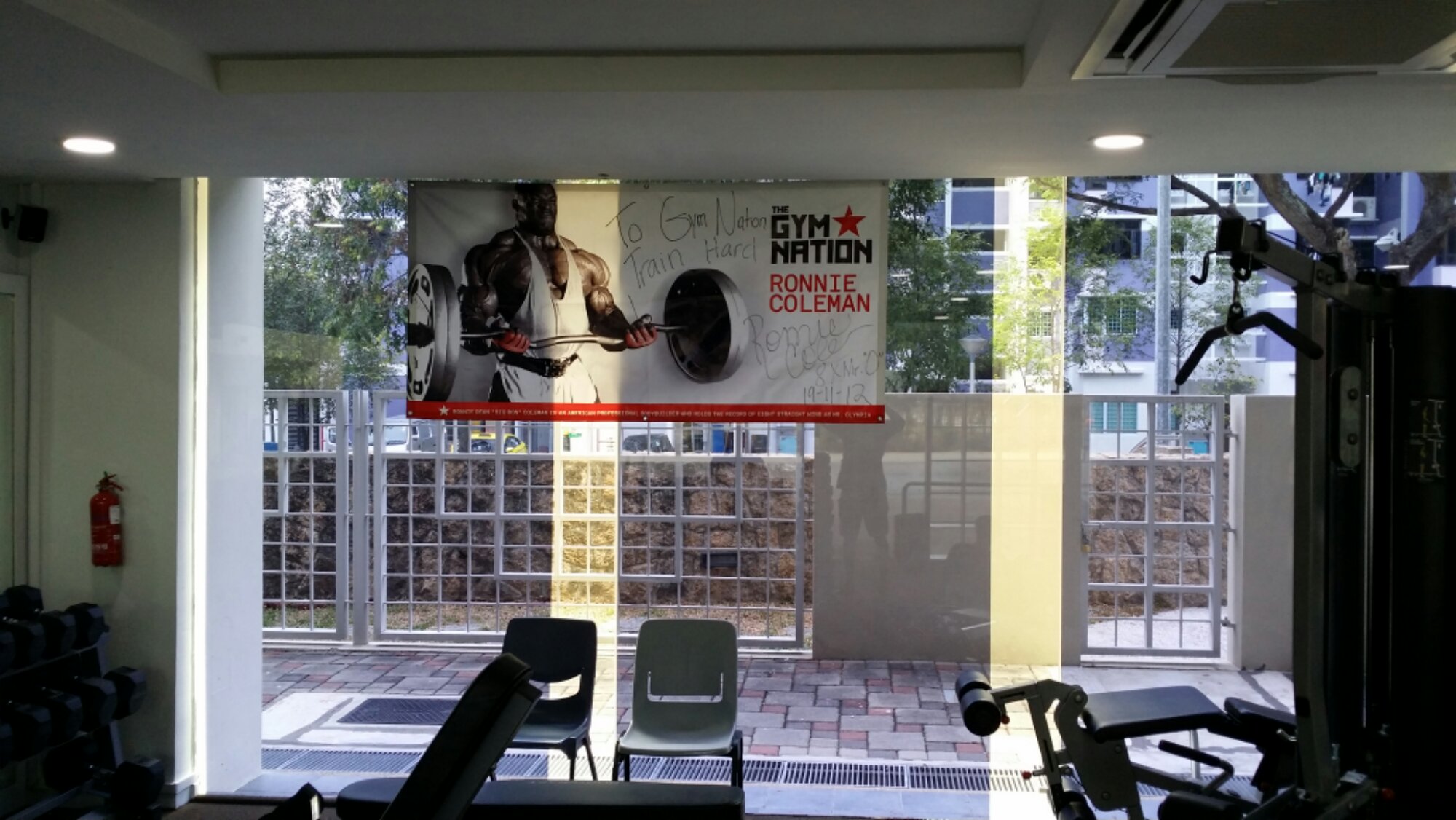 the gym nation feng shan